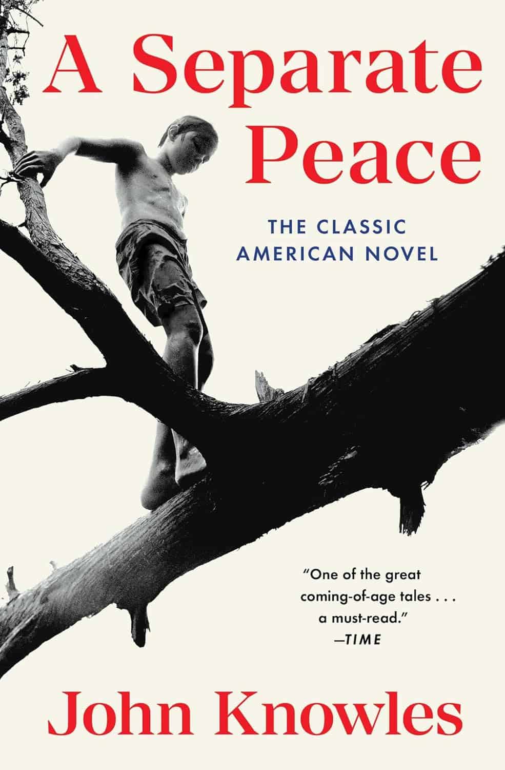 A Separate Peace by John Knowles