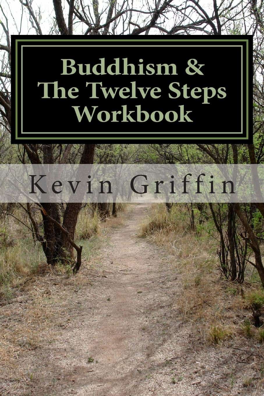 Buddhism and the Twelve Steps A Recovery Workbook for Individuals and Groups - Kevin Griffin