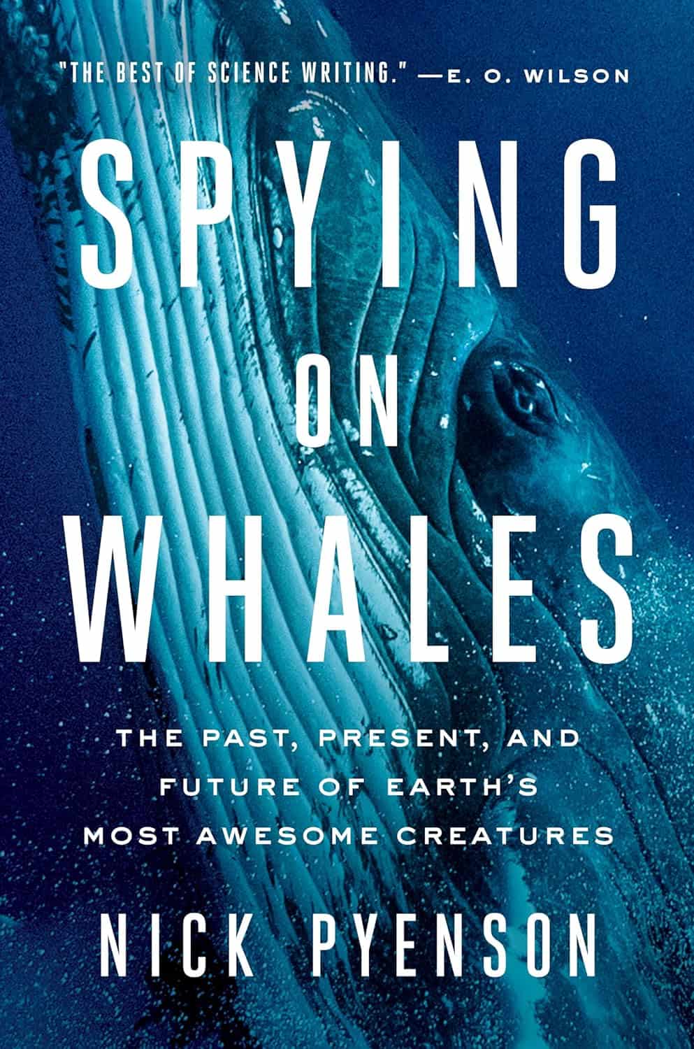 Spying on Whales: The Evolution of Whale Study