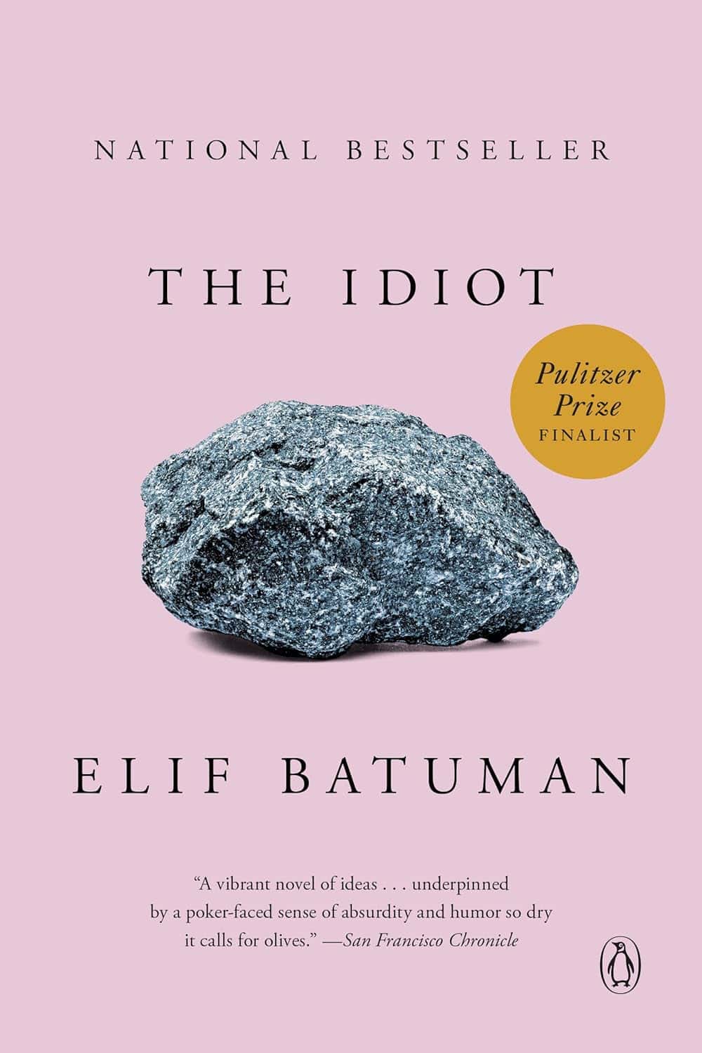 The Idiot by Elif Batuman (2017)