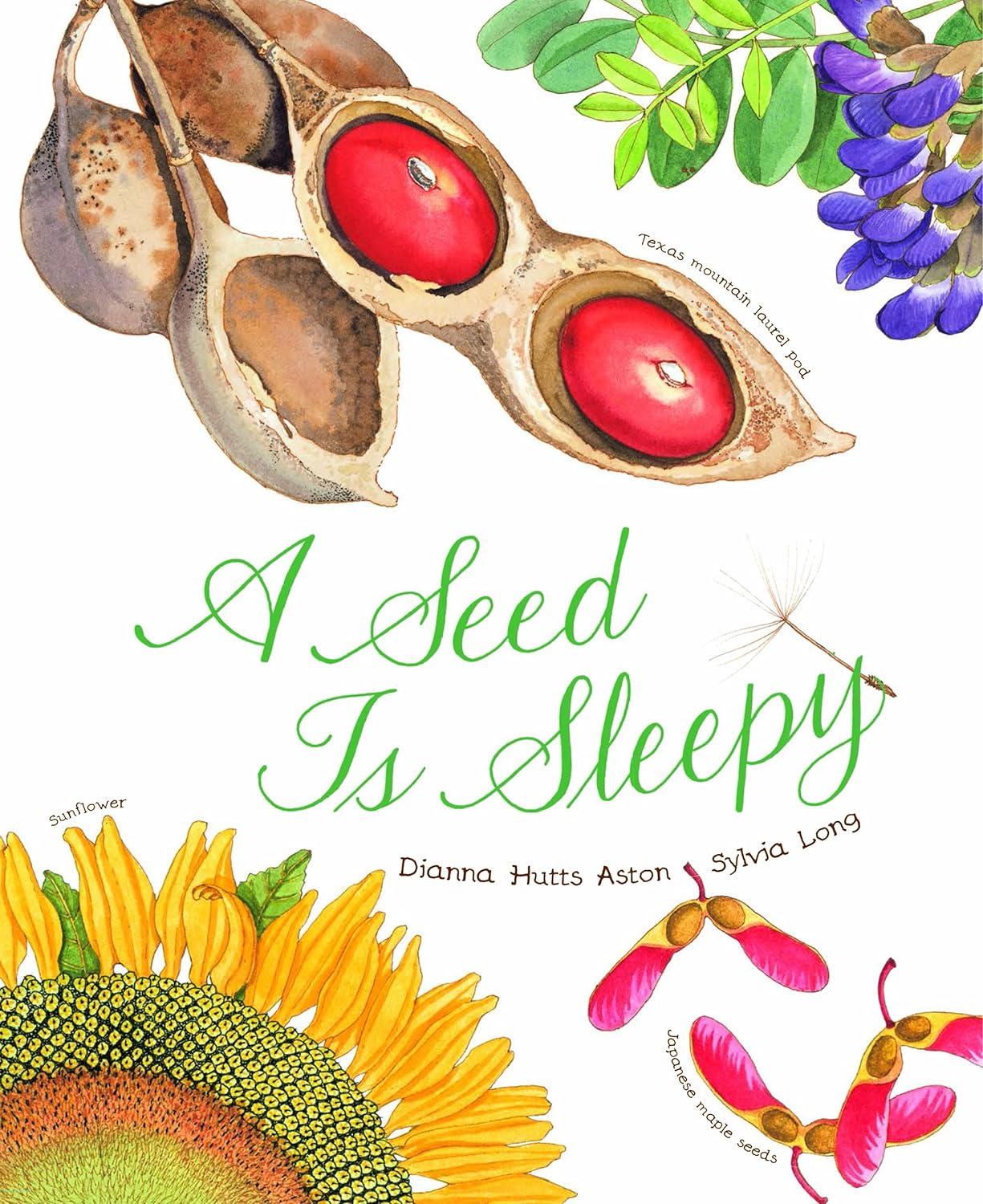 Chronicle Books 'A Seed Is Sleepy' by Dianna Hutts Aston, illustrated by Sylvia Long