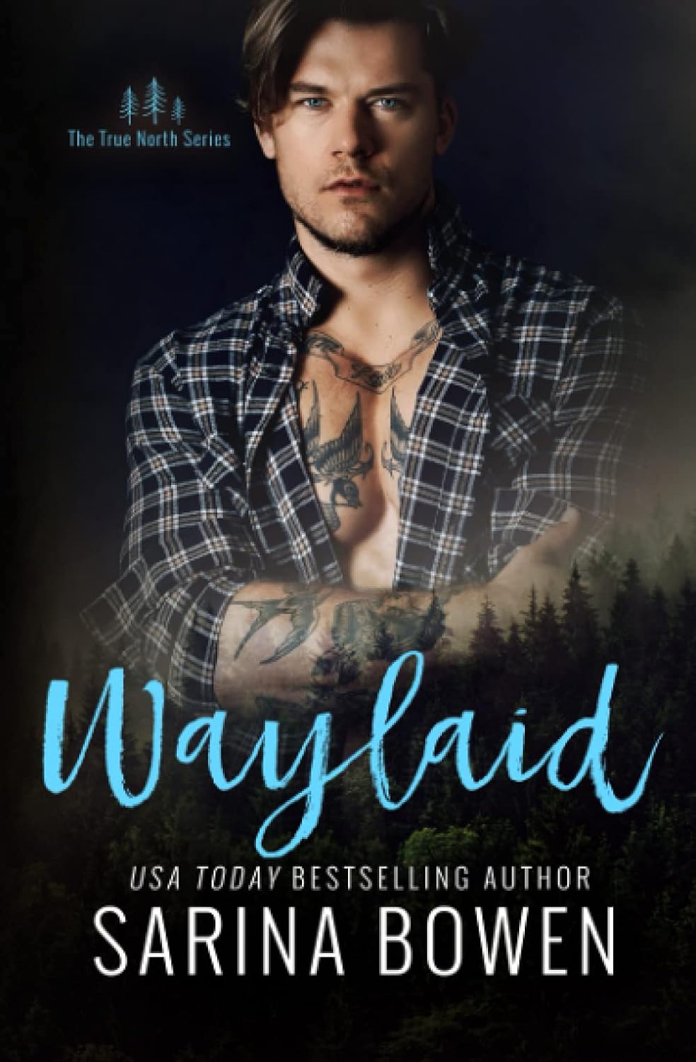 Waylaid by Sarina Bowen