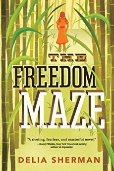 The Freedom Maze by Delia Sherman (Norton Award, 2011)