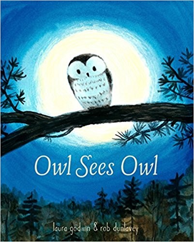 Owl Sees Owl by Laura Godwin