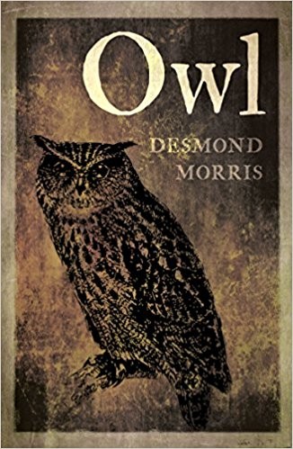 Owl by Desmond Morris