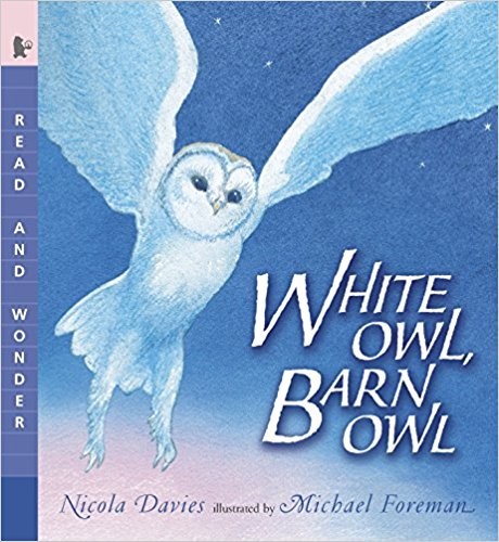 White Owl, Barn owl by Nicola Davies