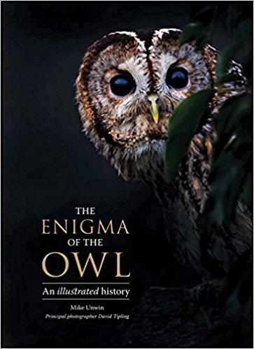 The Enigma of an Owl by Mike Unwin