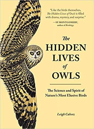 The Hidden Lives of Owls by Leigh Calvez