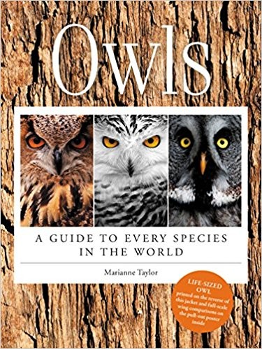 Owls: A Guide To Every Species In The World by Marianne Taylor