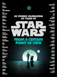 From a Certain Point of View edited by Elizabeth Schaefer